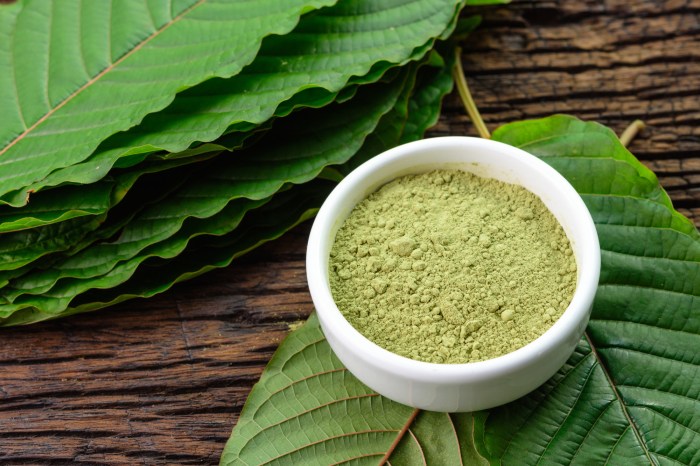 RI Punya Sumber Duit Baru Namanya Kratom, Bisa Cuan Rp90 Juta