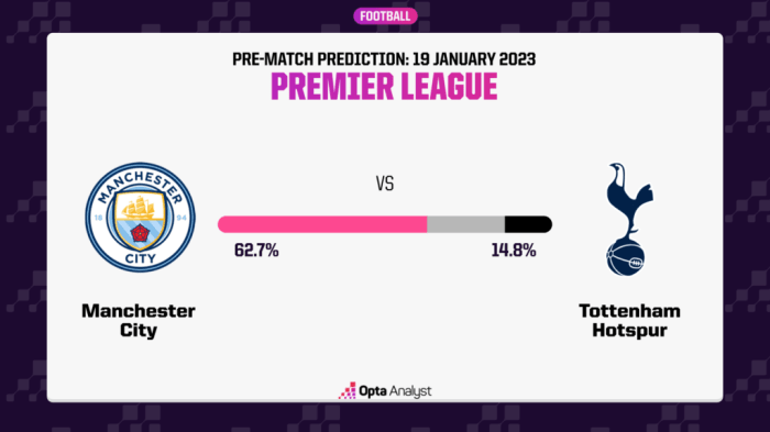 Prediksi Skor dan Rekor Pertemuan Coventry City vs Tottenham