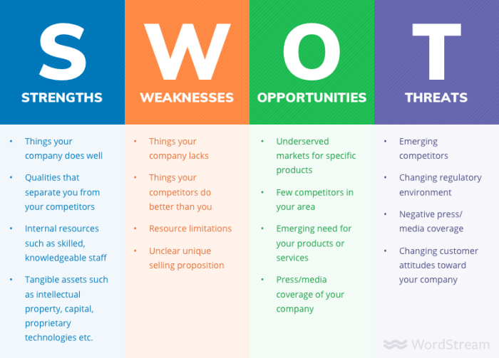 CHUTOGEL - Analisis SWOT Sritex sebelum pailit